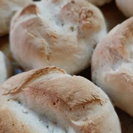 Boeritza Complex Semesteranläggning (resort) Vladaya