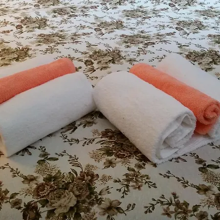 боерица Владая