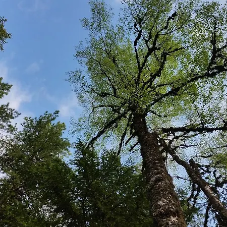 Semesteranläggning (resort) Boeritza Complex Vladaya