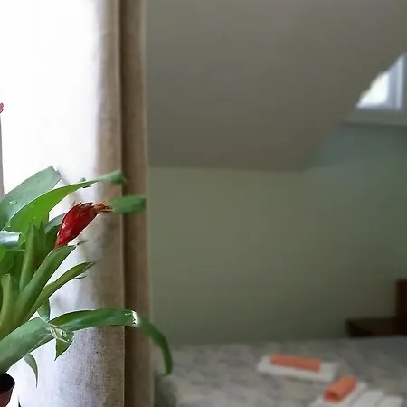 Semesteranläggning (resort) Boeritza Complex Vladaya