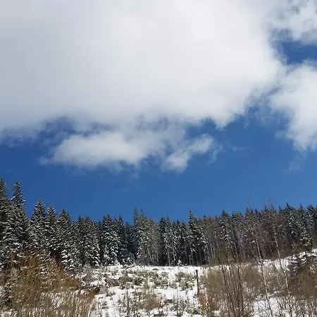 Boeritza Complex Semesteranläggning (resort) *