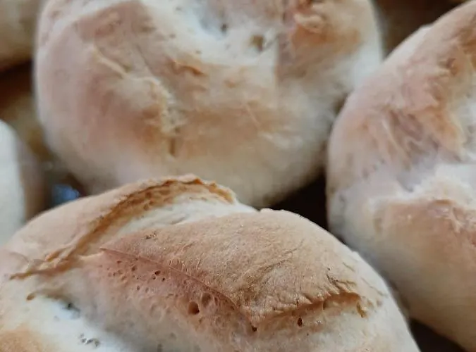 Boeritza Complex 리조트 Vladaya