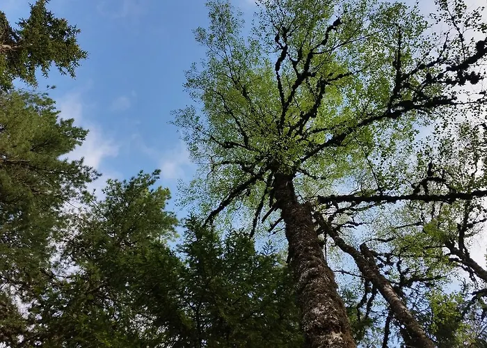 리조트 Boeritza Complex Vladaya