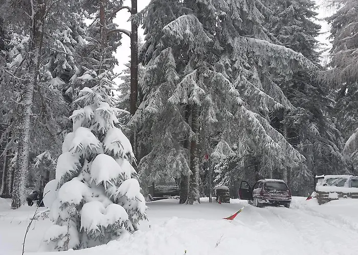 Boeritza Complex * Vladaya