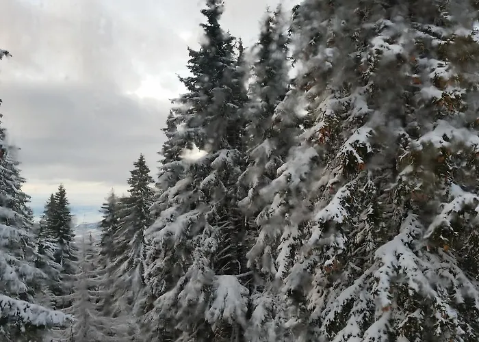 Boeritza Complex 리조트 Vladaya