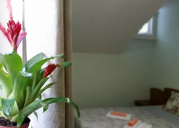 리조트 Boeritza Complex Vladaya