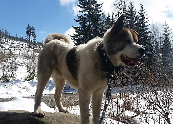 Boeritza Complex 리조트