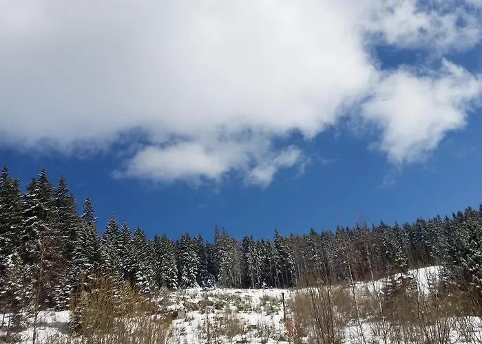 Boeritza Complex 리조트 *