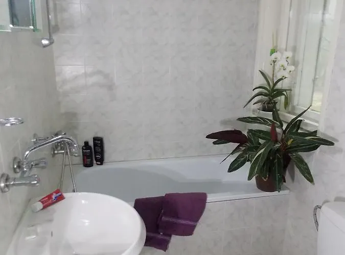 Boeritza Complex 리조트 Vladaya